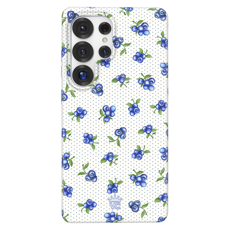 Galaxy S25 Ultra
